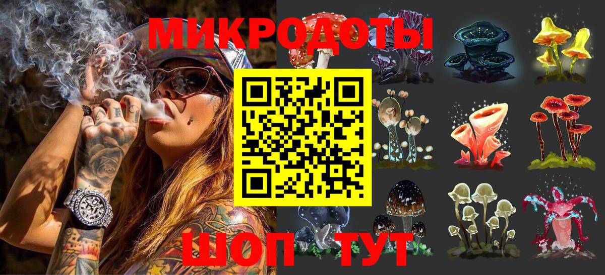 Псилоцибиновые грибы мицелий Ярославль