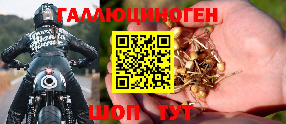 Ярославль  купить наркотики сайты  Вход с VPN  Псилоцибиновые грибы Cubensis 